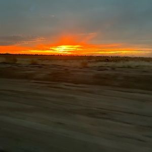 Meet your Posher, Sophia